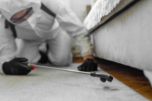 Professional Termite Control technician working in Weedpatch, CA