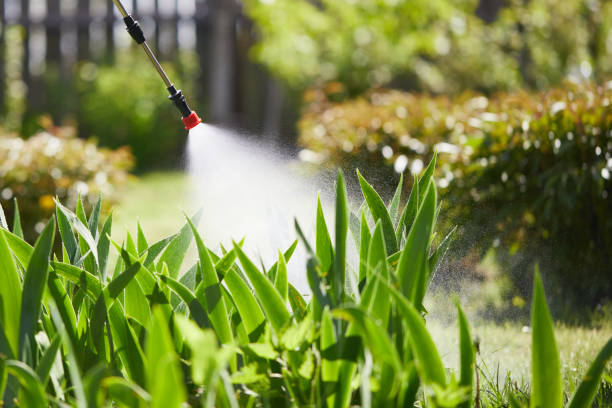 24/7 Emergency Termite Control experts in Weedpatch, CA